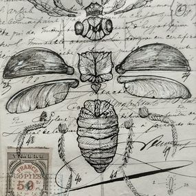 Dibujo, Végetaniamals 12, K TD