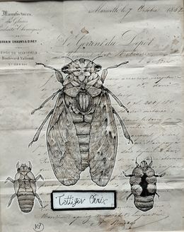 Dessin, Végetaniamals 2, K TD