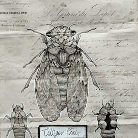 Dessin, Végetaniamals 2, K TD