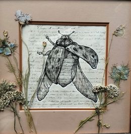 Fine Art Drawings, Végetaniamals 9, K TD