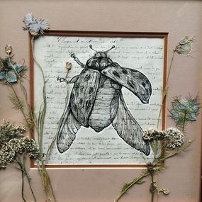 Dibujo, Végetaniamals 9, K TD