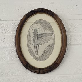Fine Art Drawings, Végetaniamals 16, K TD