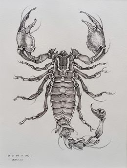 Dessin, Scorpio, Horor