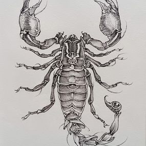 Fine Art Drawings, Scorpio, Horor