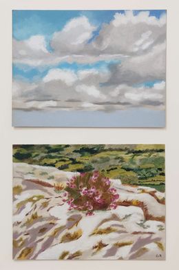 Fine Art Drawings, Bruyère sur un rocher, Gabriel Riesnert