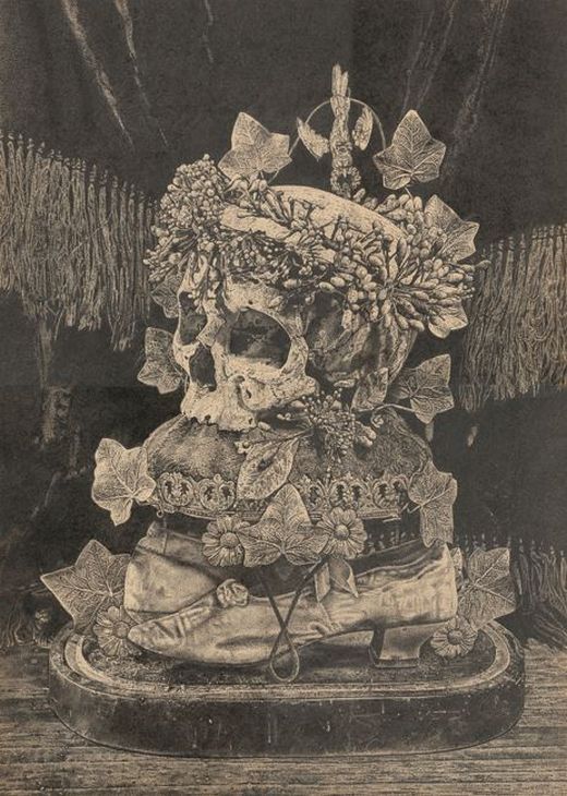 Odona Bones