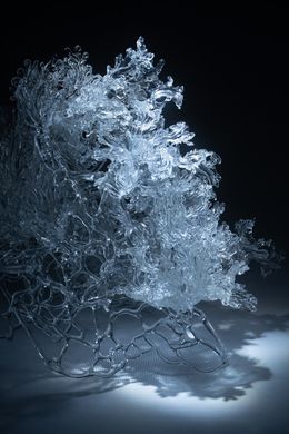 Photography, Ephemeral 4, Yujie Yang