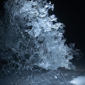 Photography, Ephemeral 4, Yujie Yang