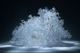 Fotografien, Ephemeral 1, Yujie Yang