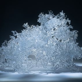 Photography, Ephemeral 1, Yujie Yang