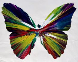 Painting, Butterfly - Spin Painting, Damien Hirst