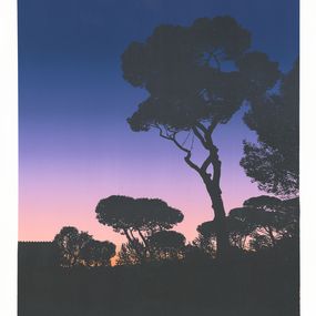 Drucke, La Villa à l'Aube, Thomas Levy-Lasne