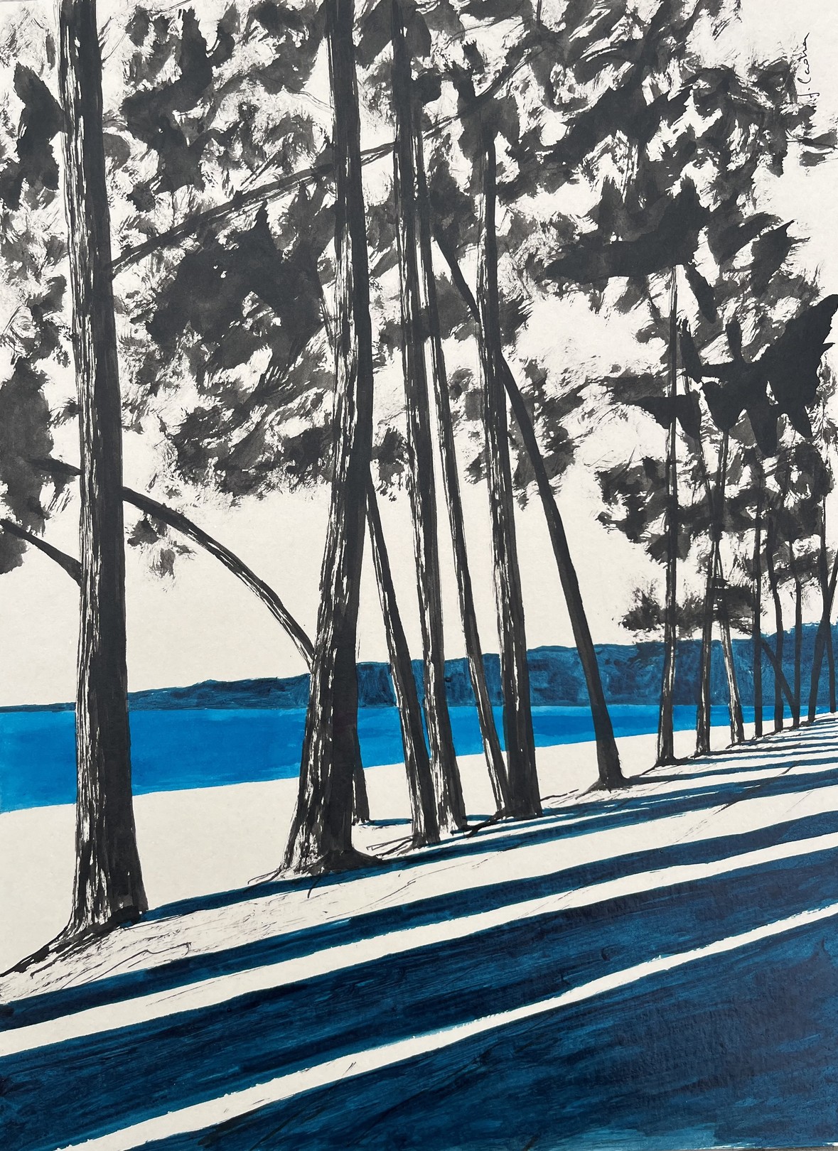 Frédéric Cadiou, Plage du Cap Coz Frédéric Cadiou, Plage du Cap Coz