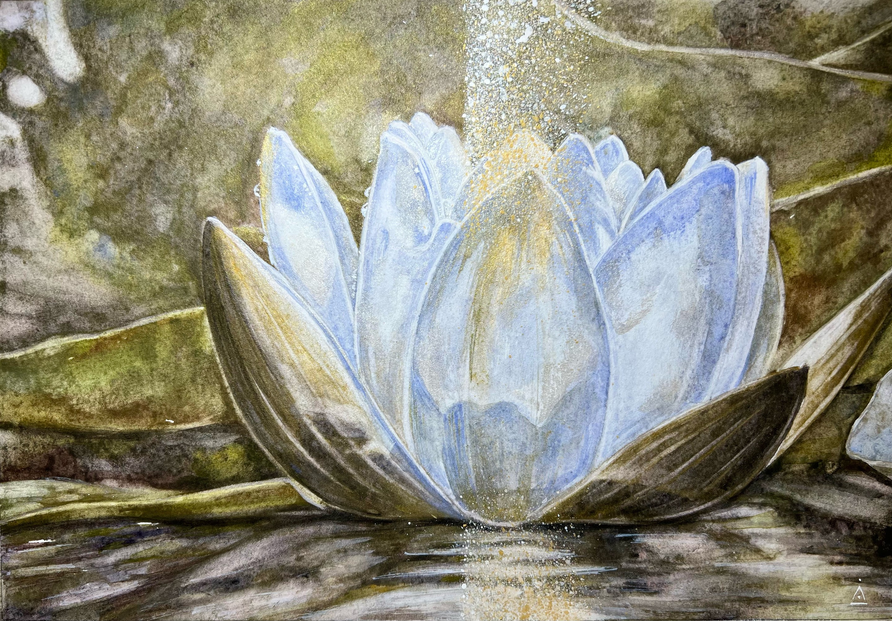 AreiRa, Winter lotus AreiRa, Winter lotus