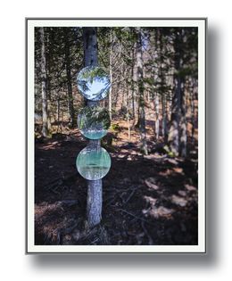 Photographie, Végétal - Reflet de soi 4, Moz - David Vuillermoz