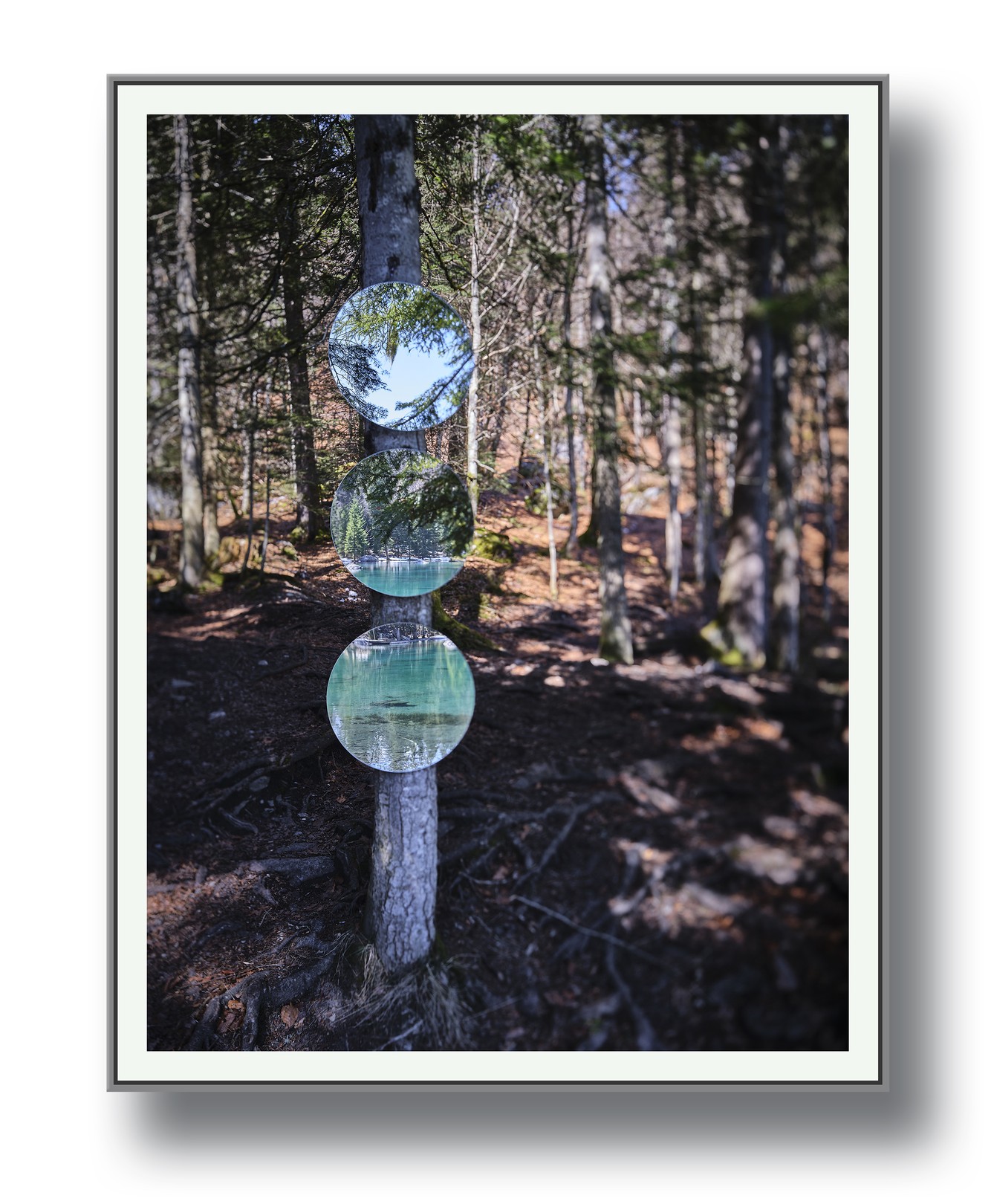 Moz - David Vuillermoz, Végétal - Reflet de soi 4 Moz - David Vuillermoz, Végétal - Reflet de soi 4