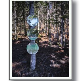 Fotografien, Végétal - Reflet de soi 4, Moz - David Vuillermoz