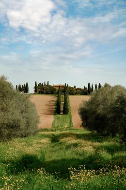 Photography, Viale di Cipressi - Tuscany Limited Edition, Arantza NT Photography
