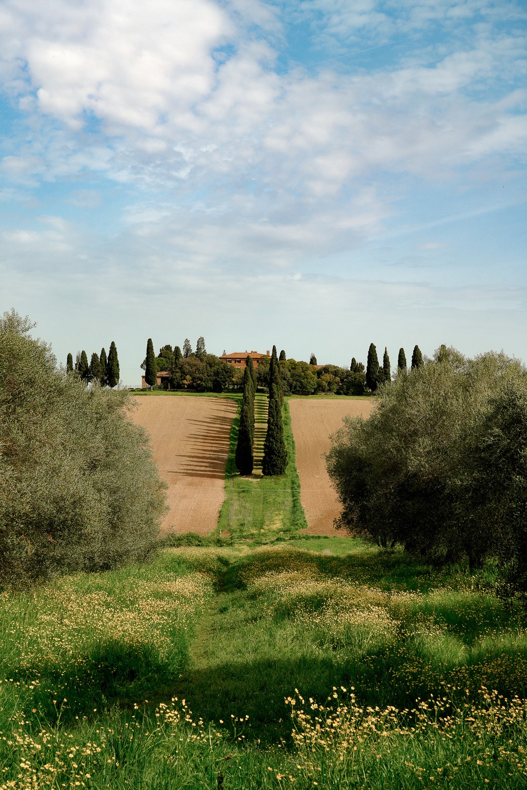 Arantza NT Photography, Viale di Cipressi - Tuscany Limited Edition Arantza NT Photography, Viale di Cipressi - Tuscany Limited Edition