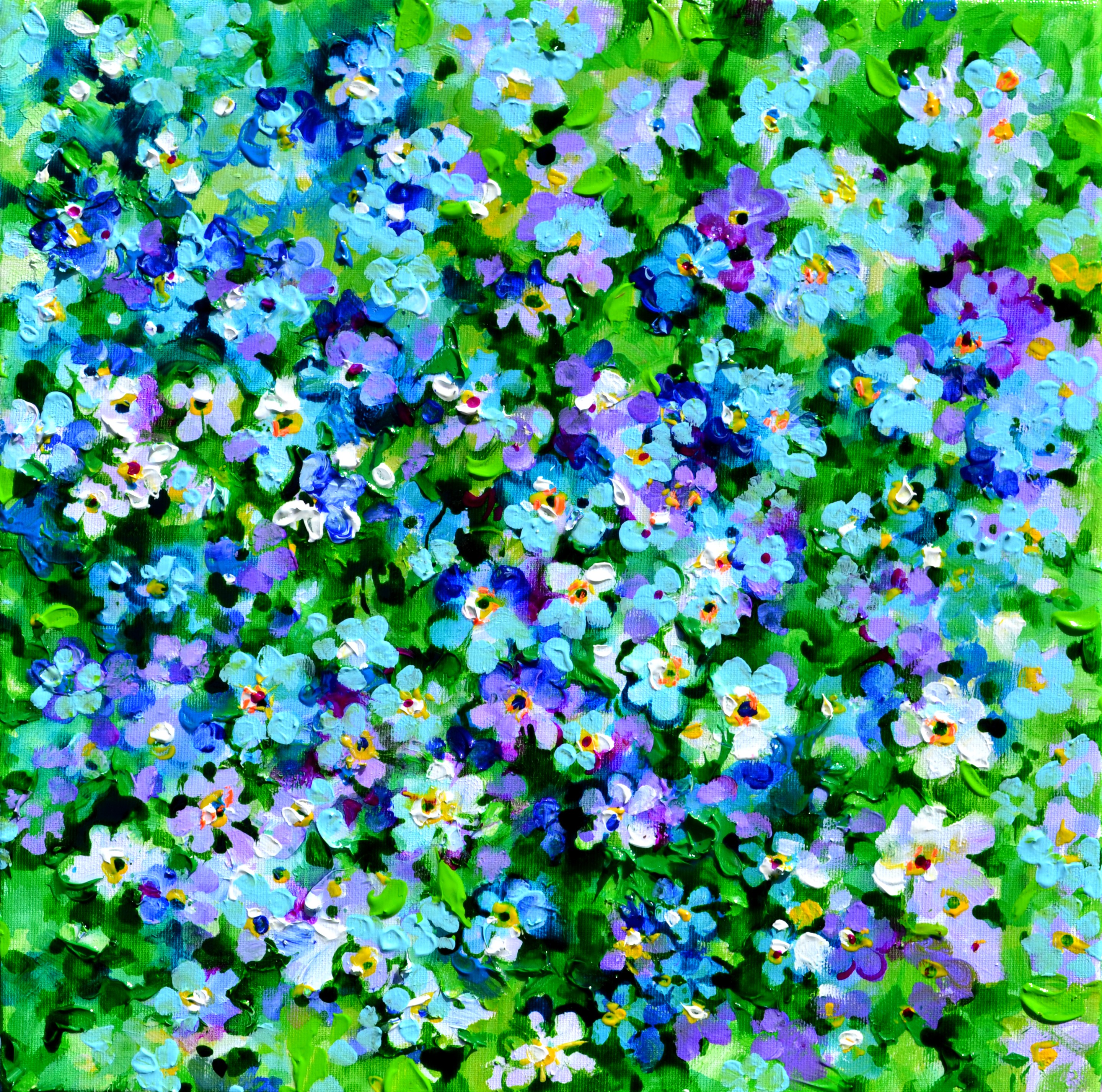 Soos Roxana, Wild Forget Me Not Flora Field Soos Roxana, Wild Forget Me Not Flora Field