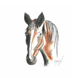 Dibujo, Mon beau cheval !, Noël Granger