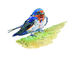 Peinture, Golondrina, Cristina Méndez