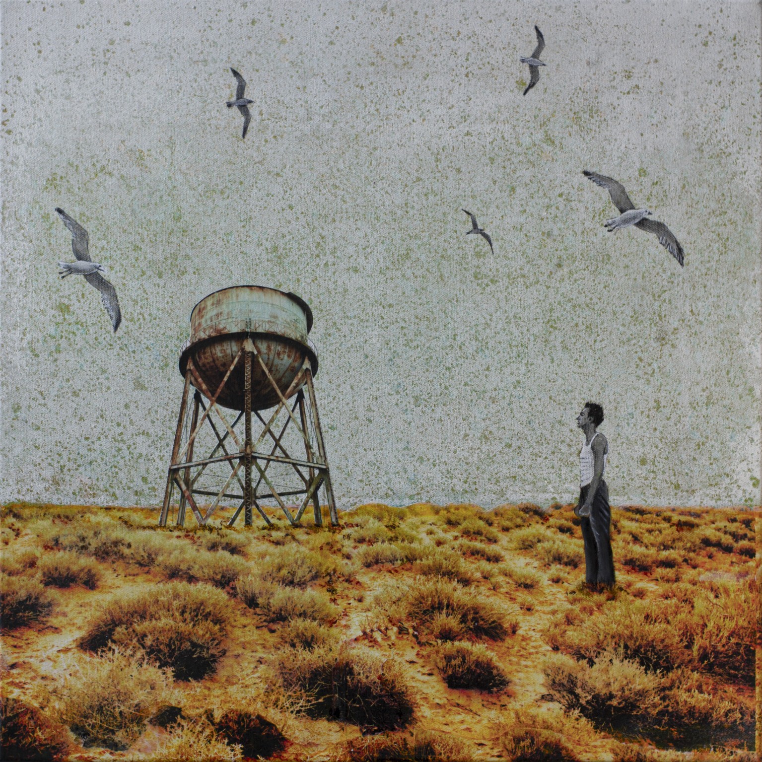 DB Waterman, Water's watchman DB Waterman, Water's watchman