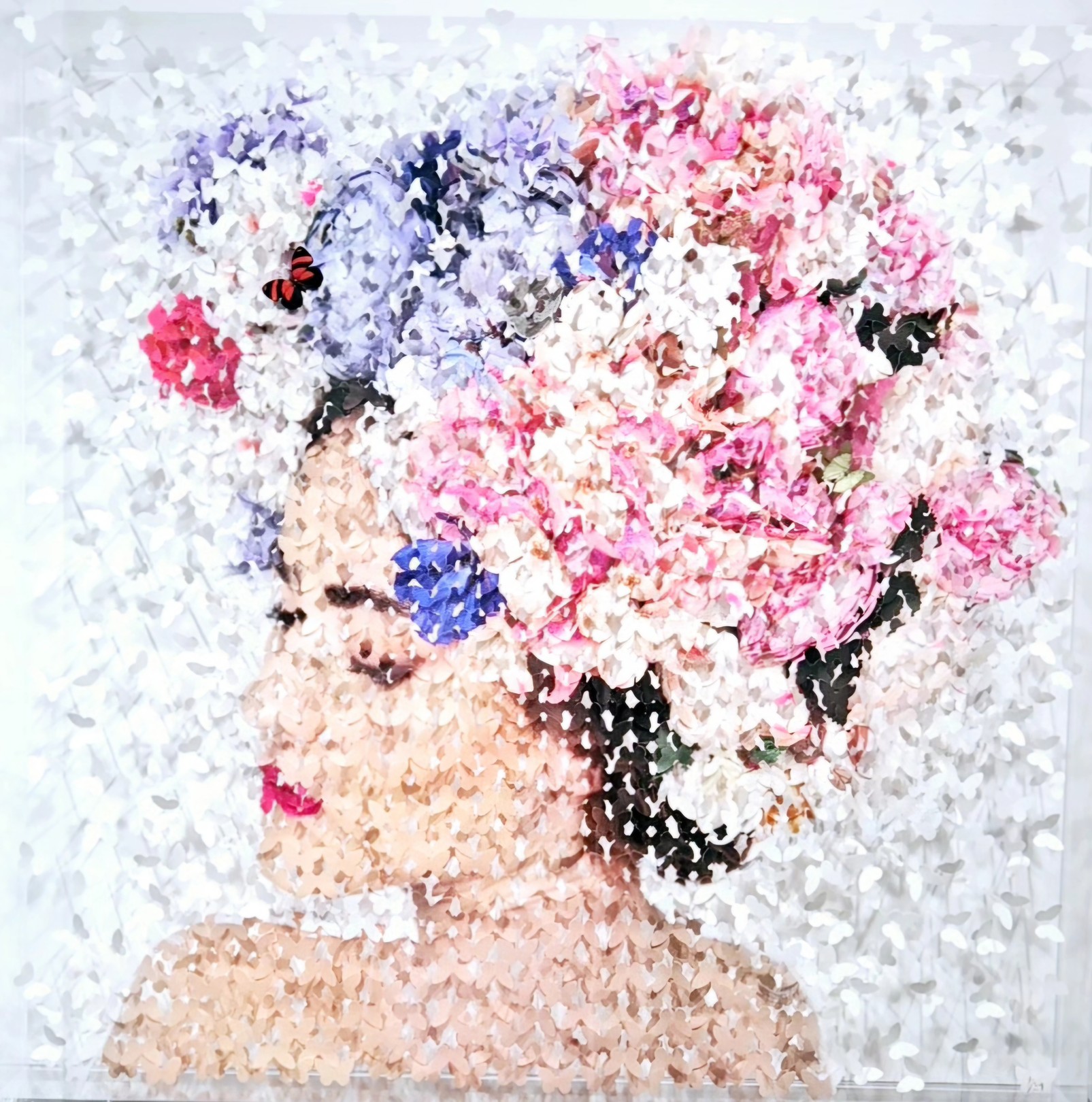 Lis Sam, Hortensia Lis Sam, Hortensia