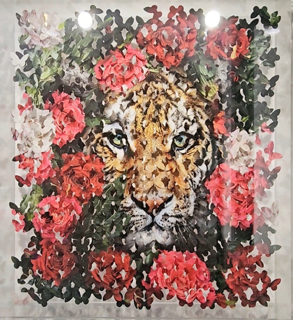 Lis Sam, Le tigre Lis Sam, Le tigre