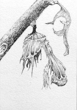 Fine Art Drawings, Le poids des yeux n°23, Florian Song Nguyen