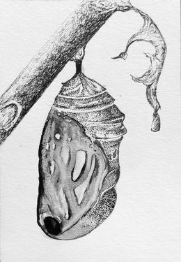 Fine Art Drawings, Le poids des yeux n°21, Florian Song Nguyen