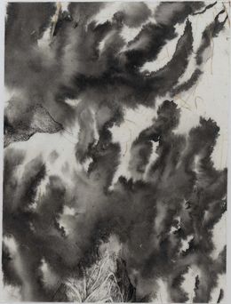 Fine Art Drawings, Le chêne à trois troncs n°37, Florian Song Nguyen