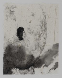 Fine Art Drawings, Le chêne à trois troncs n°36, Florian Song Nguyen