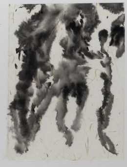 Fine Art Drawings, Le chêne à trois troncs n°35, Florian Song Nguyen