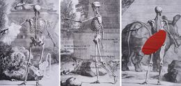 Peinture, Hand Embroidery Triptych From the series Anatomy, Ana Seggiaro