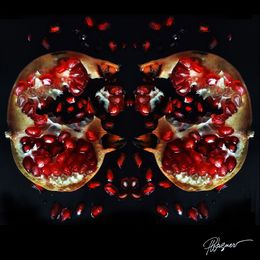 Photography, Eclat de Grenade, Paul Wagner
