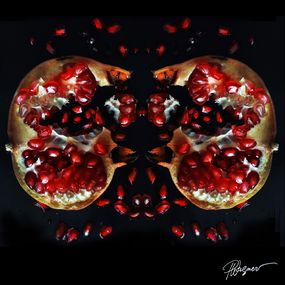 Photographie, Eclat de Grenade, Paul Wagner