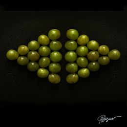 Fotografien, Raisins losange, Paul Wagner