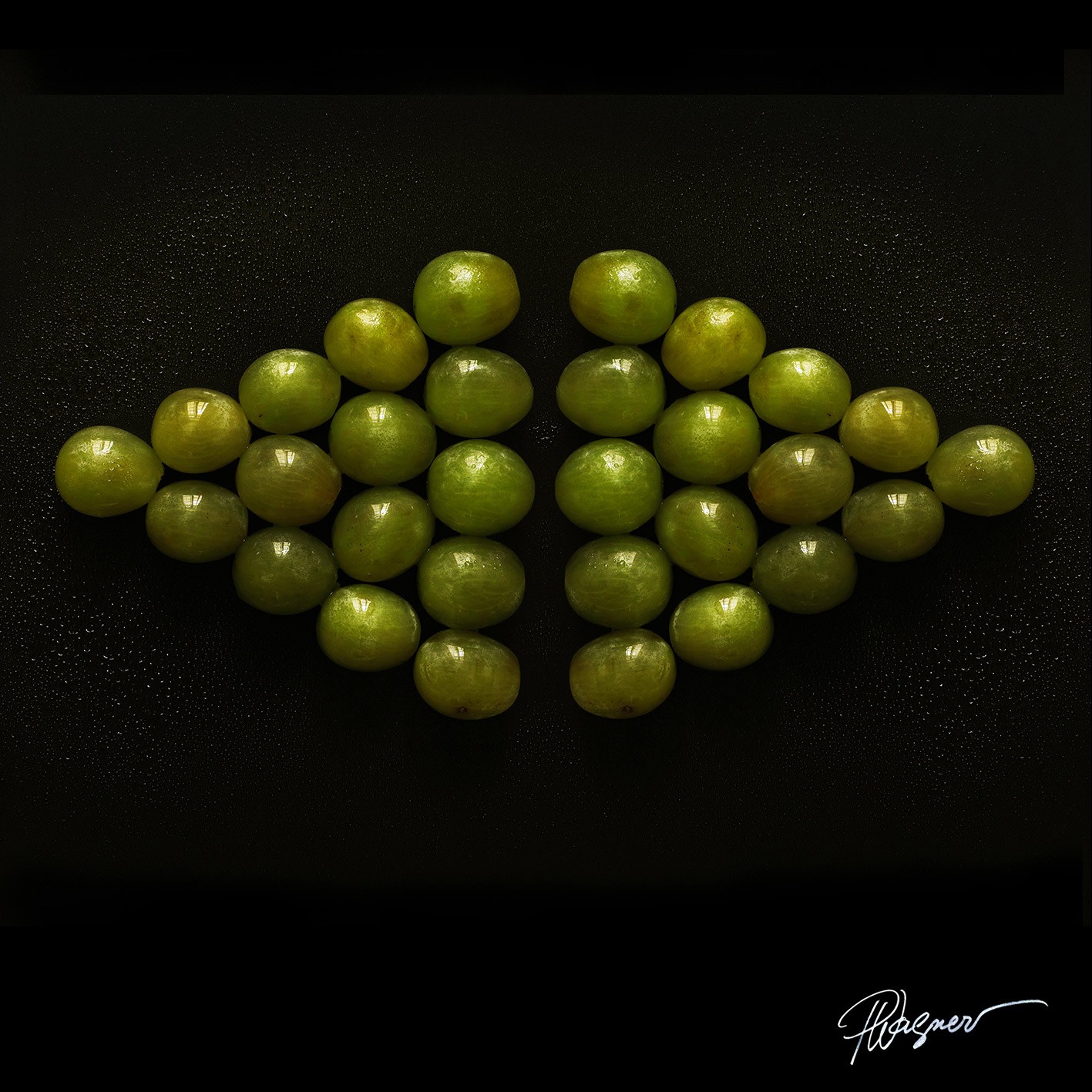 Paul Wagner, Raisins losange Paul Wagner, Raisins losange