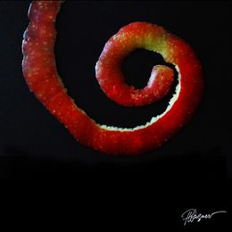 Fotografien, Pellure Spirale, Paul Wagner