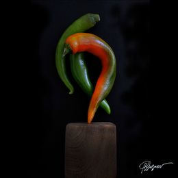 Fotografien, Piments danse, Paul Wagner
