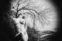 Fotografien, Eco01 - Series from Ecotone, Burak Bulut Yildirim