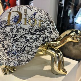 Skulpturen, Tortue étoile, Naor