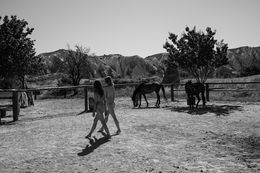 Fotografien, Eco40 - Series from Ecotone, Burak Bulut Yildirim