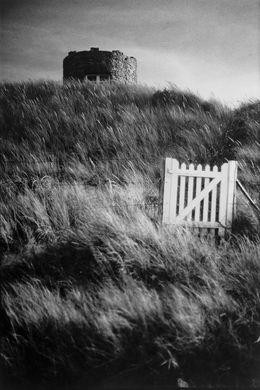 Photography, Le portail blanc dans les hautes herbes, Henri-Alain Ségalen