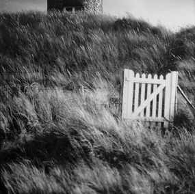 Photographie, Le portail blanc dans les hautes herbes, Henri-Alain Ségalen