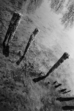Photographie, Crue du Loir, Henri-Alain Ségalen