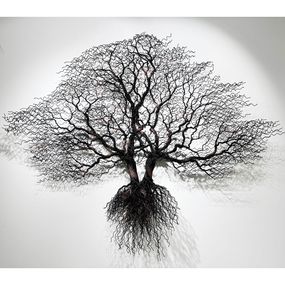 Skulpturen, Beech, Zsuzsanna Györgyövics - Wall Sculpture, Zsuzsanna Györgyövics