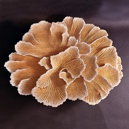 Sculpture, Schizophylle, Agnès K.