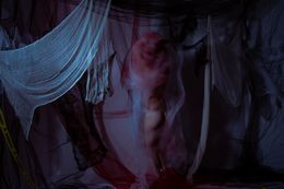 Photography, ANT16 - Series from Antemortem, Burak Bulut Yildirim